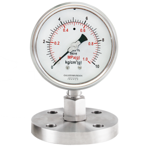 Đồng hồ áp suất màng flush nối bích - GB Pháp